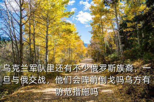 烏克蘭軍隊里還有不少俄羅斯族裔，一旦與俄交戰(zhàn)，他們會陣前倒戈嗎烏方有防范措施嗎