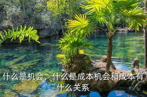 什么是機(jī)會(huì)，什么是成本機(jī)會(huì)和成本有什么關(guān)系