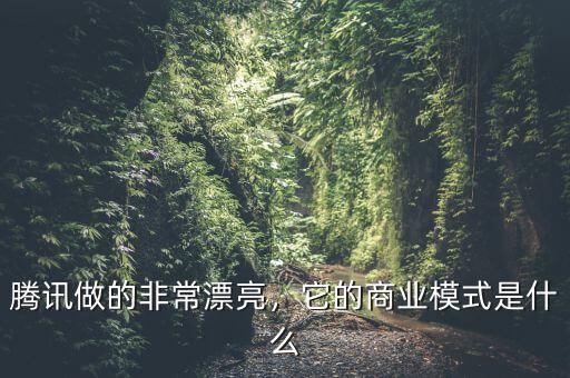 騰訊做的非常漂亮，它的商業(yè)模式是什么