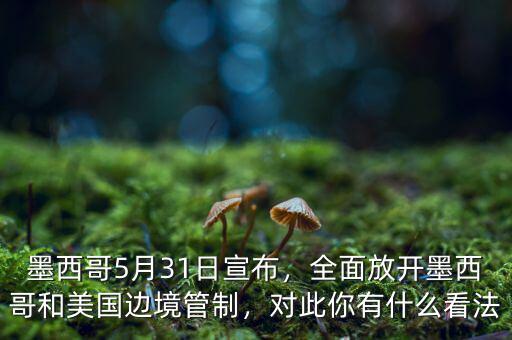 墨西哥5月31日宣布，全面放開墨西哥和美國邊境管制，對此你有什么看法