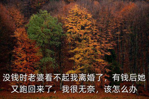 沒錢時(shí)老婆看不起我離婚了，有錢后她又跑回來了，我很無奈，該怎么辦