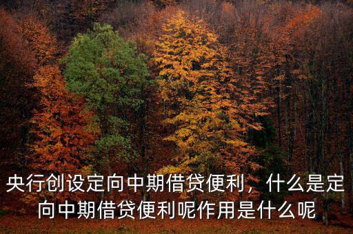 央行創(chuàng)設定向中期借貸便利，什么是定向中期借貸便利呢作用是什么呢
