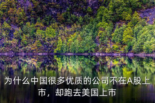 為什么中國很多優(yōu)質(zhì)的公司不在A股上市，卻跑去美國上市