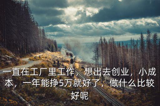 一直在工廠里工作，想出去創(chuàng)業(yè)，小成本，一年能掙5萬就好了，做什么比較好呢