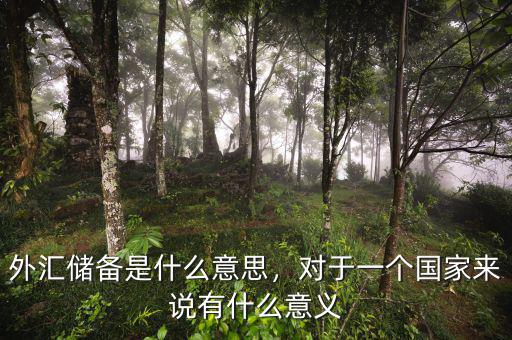 外匯儲備是什么意思，對于一個國家來說有什么意義