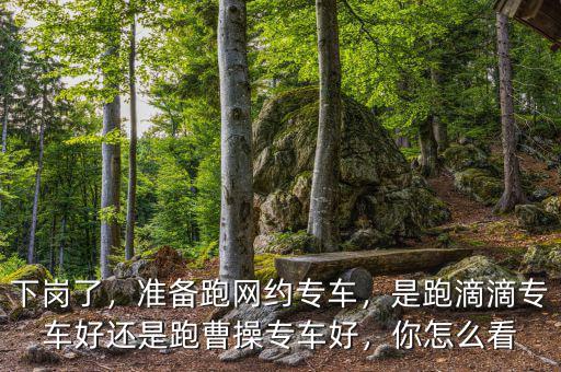 下崗了，準(zhǔn)備跑網(wǎng)約專(zhuān)車(chē)，是跑滴滴專(zhuān)車(chē)好還是跑曹操專(zhuān)車(chē)好，你怎么看