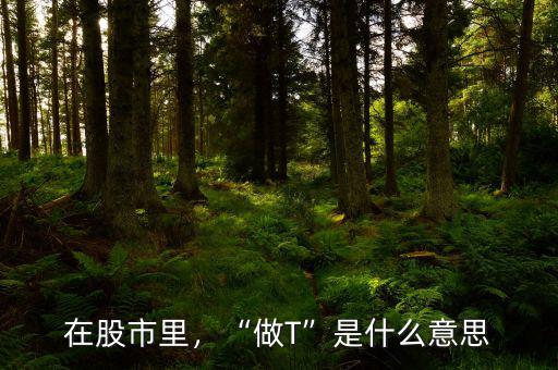 在股市里，“做T”是什么意思