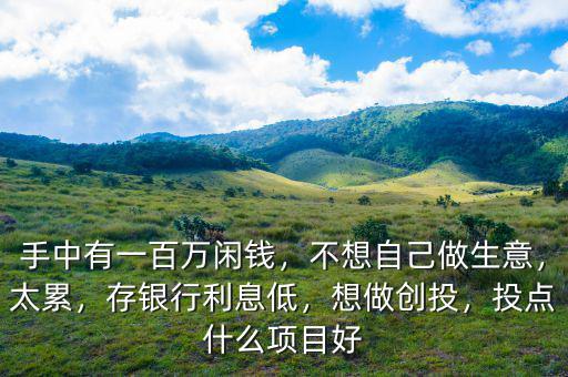手中有一百萬閑錢，不想自己做生意，太累，存銀行利息低，想做創(chuàng)投，投點(diǎn)什么項(xiàng)目好