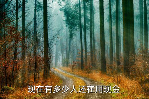 現在有多少人還在用現金