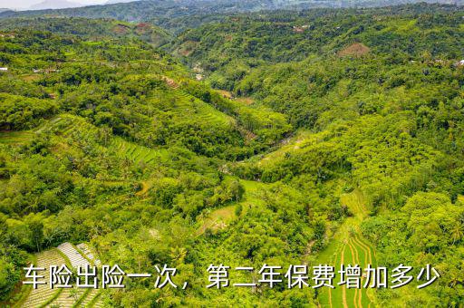 車險(xiǎn)出險(xiǎn)一次，第二年保費(fèi)增加多少