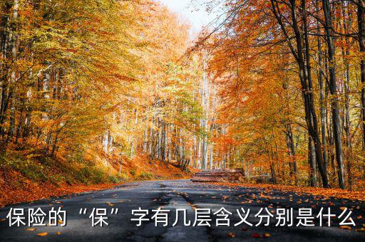 保險的“保”字有幾層含義分別是什么
