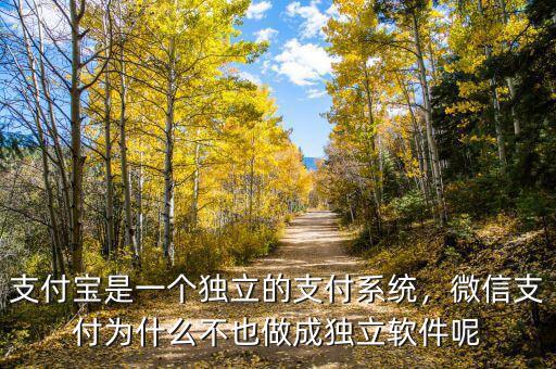 支付寶是一個(gè)獨(dú)立的支付系統(tǒng)，微信支付為什么不也做成獨(dú)立軟件呢