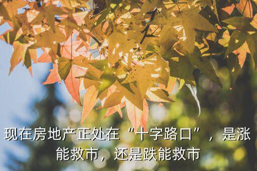 現(xiàn)在房地產(chǎn)正處在“十字路口”，是漲能救市，還是跌能救市