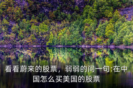 看看蔚來的股票，弱弱的問一句:在中國怎么買美國的股票