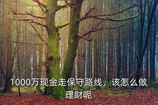 1000萬現(xiàn)金走保守路線，該怎么做理財呢