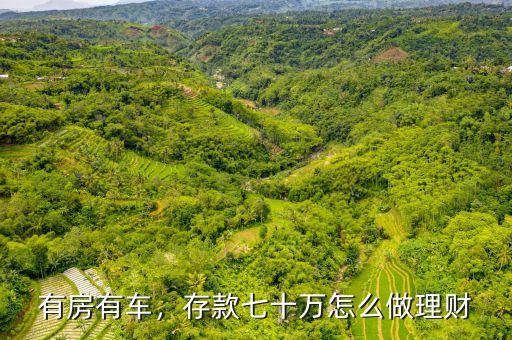 有房有車，存款七十萬怎么做理財(cái)