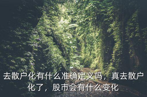 去散戶化有什么準(zhǔn)確定義嗎，真去散戶化了，股市會(huì)有什么變化