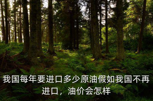 我國(guó)每年要進(jìn)口多少原油假如我國(guó)不再進(jìn)口，油價(jià)會(huì)怎樣
