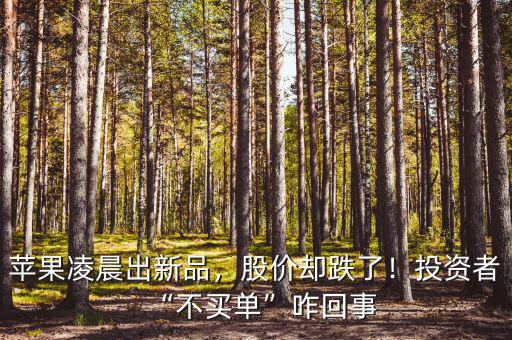 蘋果凌晨出新品，股價(jià)卻跌了！投資者“不買單”咋回事
