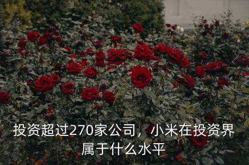 投資超過270家公司，小米在投資界屬于什么水平