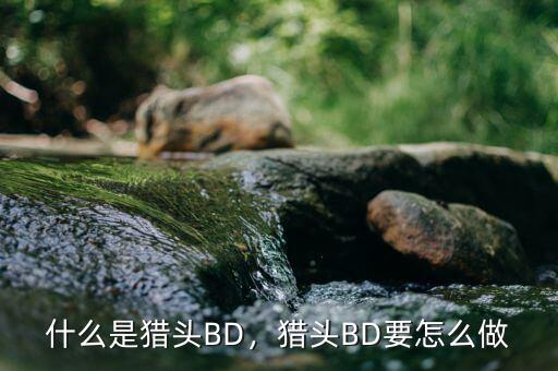 什么是獵頭BD，獵頭BD要怎么做