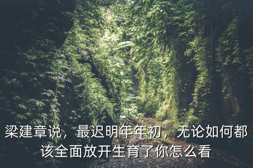 梁建章說，最遲明年年初，無論如何都該全面放開生育了你怎么看