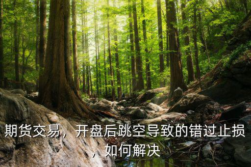 期貨交易，開盤后跳空導致的錯過止損，如何解決