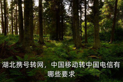 湖北攜號轉(zhuǎn)網(wǎng)，中國移動轉(zhuǎn)中國電信有哪些要求