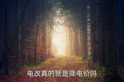 電改真的就是降電價(jià)嗎