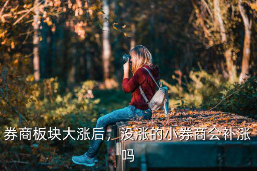 券商板塊大漲后，沒漲的小券商會(huì)補(bǔ)漲嗎