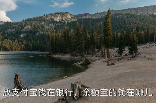余額寶的錢(qián)被用在什么地方了,余額寶的錢(qián)在哪兒