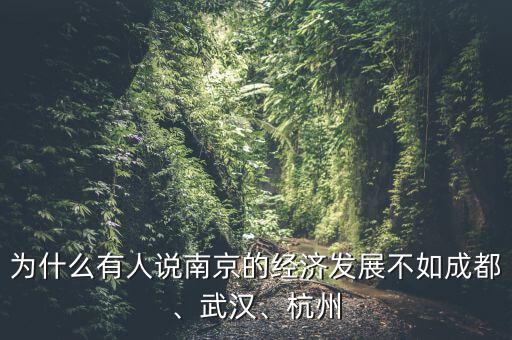 為什么有人說(shuō)南京的經(jīng)濟(jì)發(fā)展不如成都、武漢、杭州
