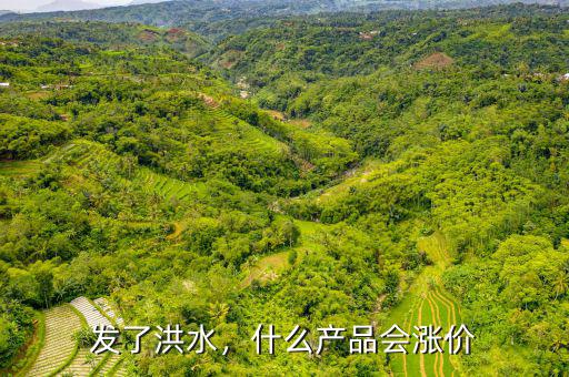 發(fā)了洪水，什么產(chǎn)品會漲價