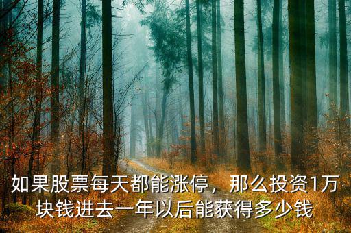 如果股票每天都能漲停，那么投資1萬塊錢進(jìn)去一年以后能獲得多少錢