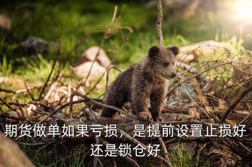 期貨做單如果虧損，是提前設(shè)置止損好還是鎖倉好