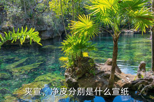 夾宣，凈皮分別是什么宣紙