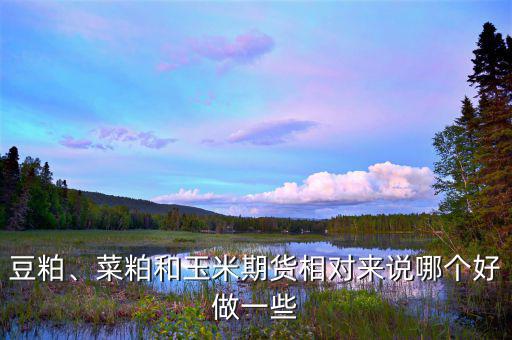 期貨豆粕在什么地方能看到測(cè)評(píng),做期貨在什么交易所開(kāi)戶