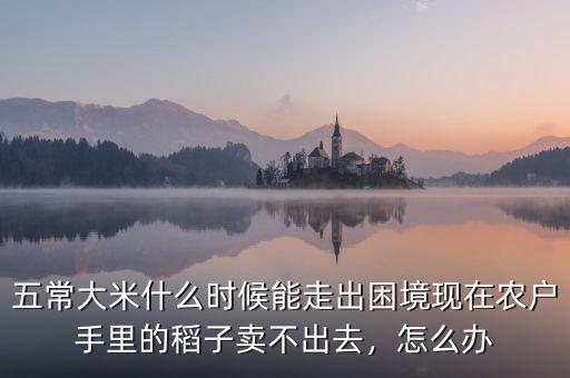 15年農(nóng)戶(hù)糧食賣(mài)不出去怎么辦,現(xiàn)在農(nóng)戶(hù)手里的稻子賣(mài)不出去