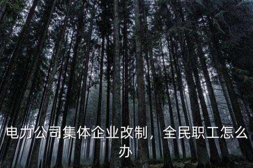 電力公司集體企業(yè)改制，全民職工怎么辦
