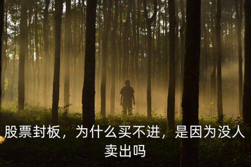 股票封板，為什么買不進，是因為沒人賣出嗎