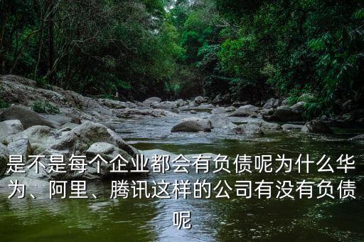 是不是每個(gè)企業(yè)都會(huì)有負(fù)債呢為什么華為、阿里、騰訊這樣的公司有沒(méi)有負(fù)債呢