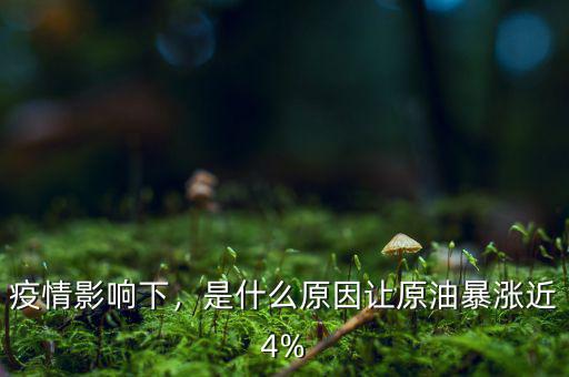 疫情影響下，是什么原因讓原油暴漲近4%