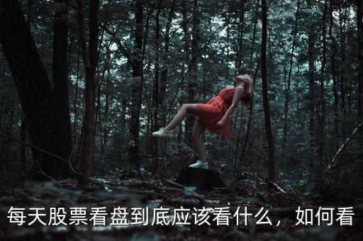 每天股票看盤到底應(yīng)該看什么，如何看