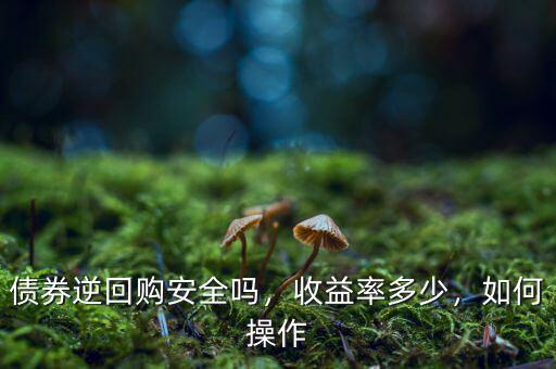債券逆回購安全嗎，收益率多少，如何操作