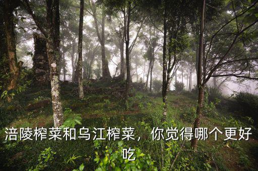 涪陵榨菜和烏江榨菜，你覺得哪個(gè)更好吃