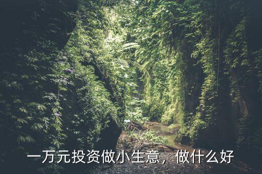 一萬元投資做小生意，做什么好