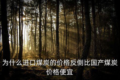 為什么進(jìn)口煤炭的價格反倒比國產(chǎn)煤炭價格便宜