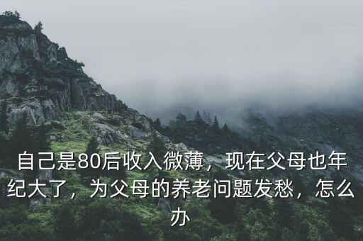 自己是80后收入微薄，現(xiàn)在父母也年紀(jì)大了，為父母的養(yǎng)老問(wèn)題發(fā)愁，怎么辦