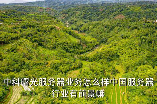 中科曙光服務器業(yè)務怎么樣中國服務器行業(yè)有前景嘛