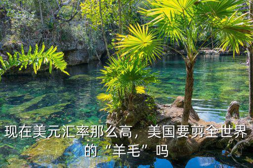 現(xiàn)在美元匯率那么高，美國要剪全世界的“羊毛”嗎